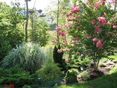 бронтозавр бронтозавр