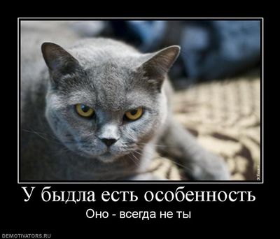 кастро кастро