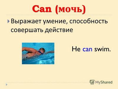 звезда звезда