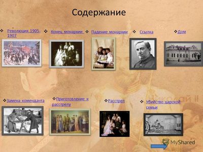 морских слонов