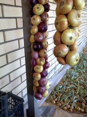 может быть может быть