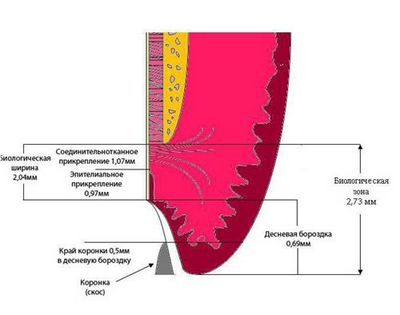 среди цветных