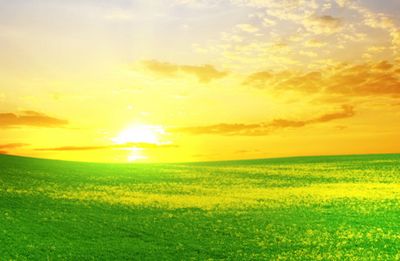 промышленность