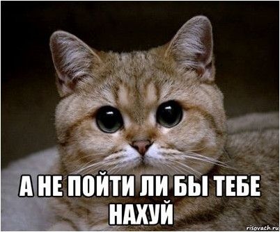японии японии
