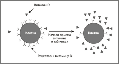 витамин