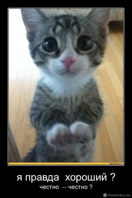 законопроект