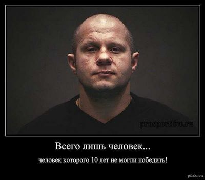 крикет крикет