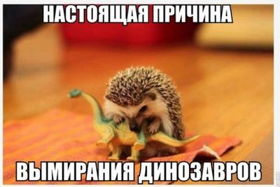 дыра дыра