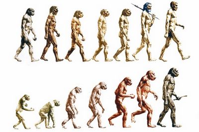 вечной мерзлоты