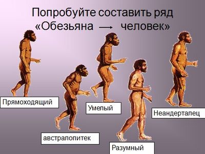 жизнь жизнь