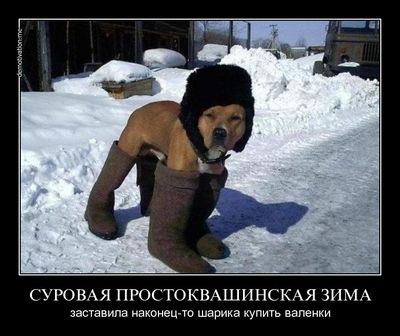 обновление обновление