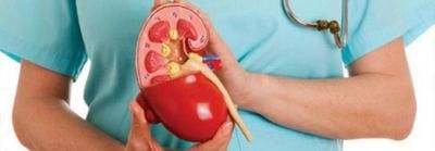 coli coli