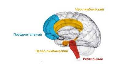 стресс