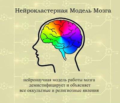 мозг мозг