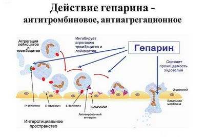 гепарин гепарин