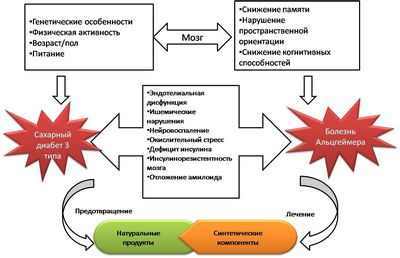 Снижают ли некоторые лекарства от диабета риск болезни Альцгеймера?