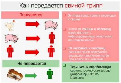ожирение ожирение