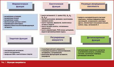 Бинарные бактерии &laquo;кусочки&raquo; в кишечнике человека, связанные с состоянием здоровья