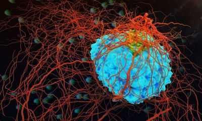 Почти половина выживших после рака заболели в более поздние годы