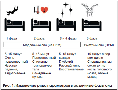 Может ли качество сна быть связано с половыми различиями?