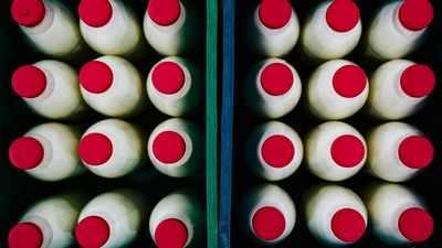 Неожиданный поворот в исследованиях диабета