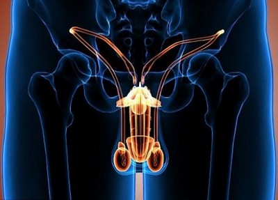 бесплодный