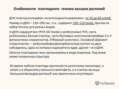 зерновые культуры