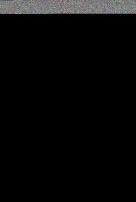 летучие мыши