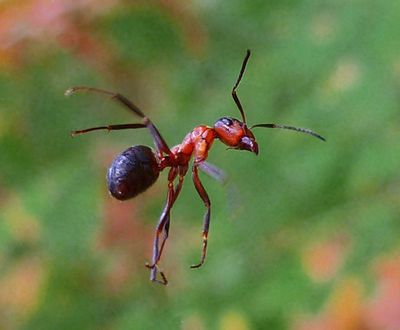 планировать