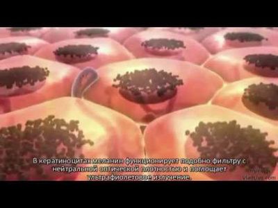 исследование