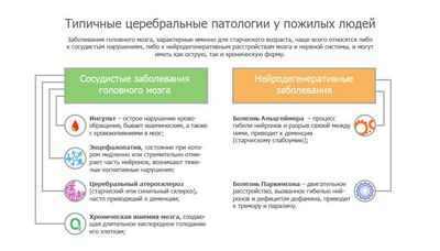 Снижение артериального давления предотвращает ухудшение состояния головного мозга у пожилых людей